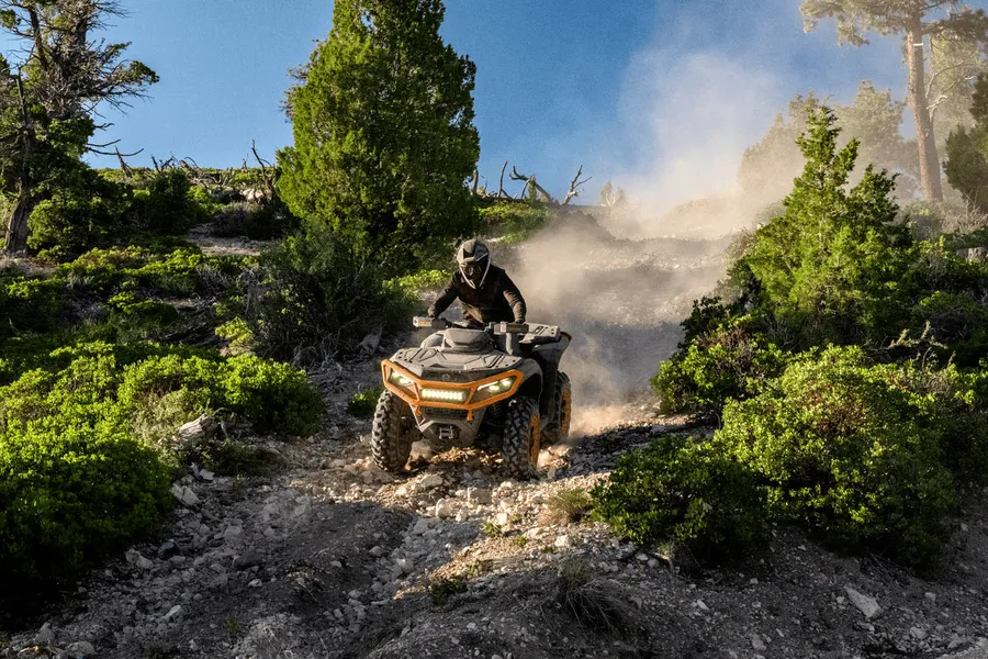 Quad